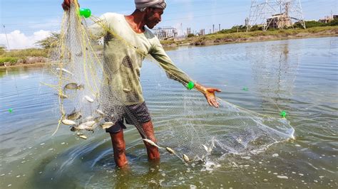 传统釣什麼魚滑